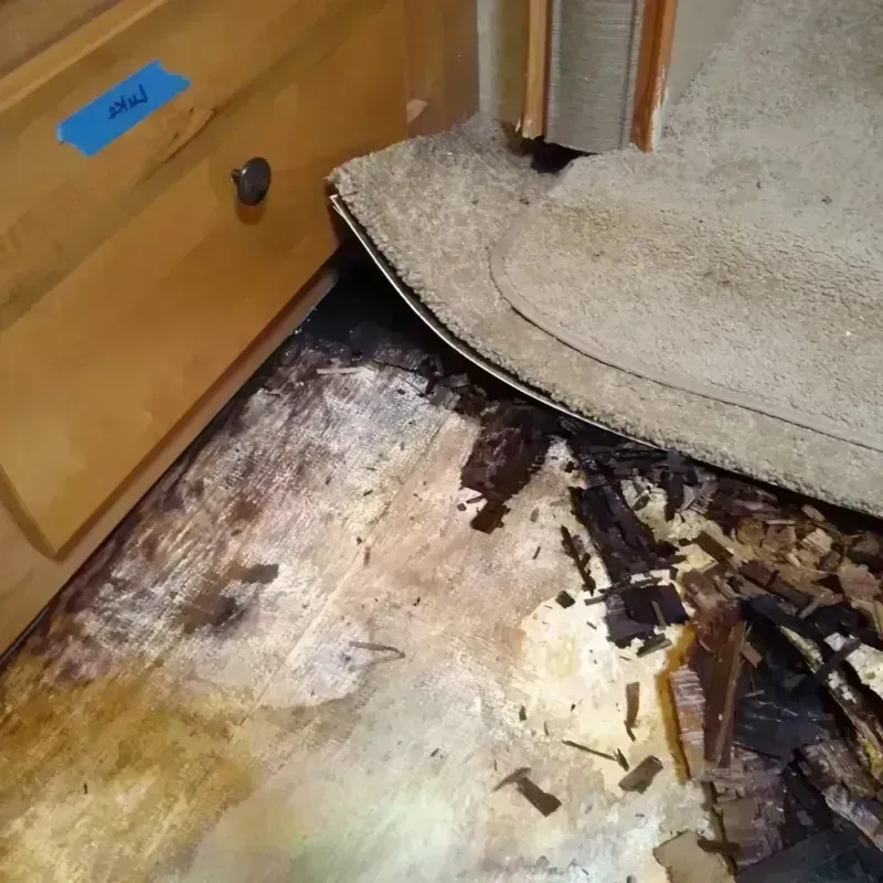 Wood Floor Water Damage in Waxahachie, TX